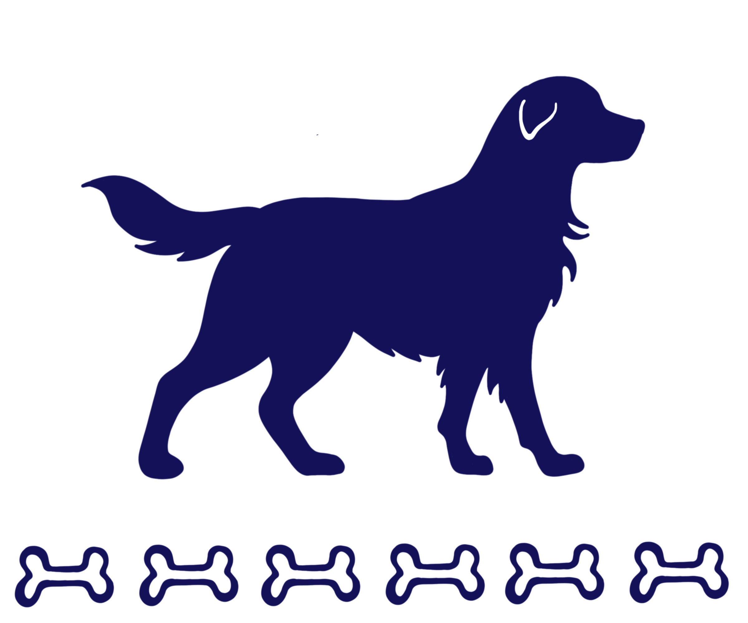 My Logo